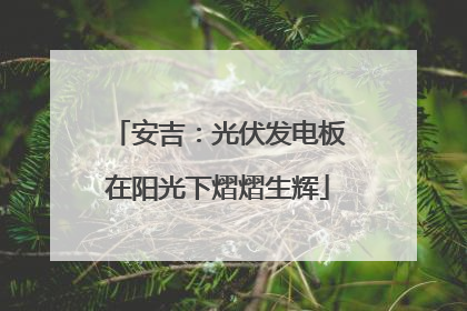 安吉：光伏发电板在阳光下熠熠生辉