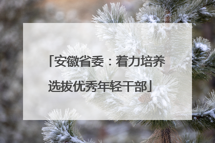 安徽省委：着力培养选拔优秀年轻干部