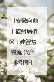安徽向前丨宿州埇桥区：建智慧物流 兴产业引擎