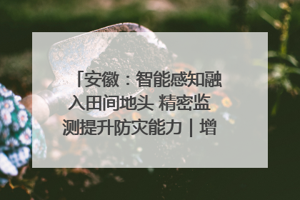 安徽：智能感知融入田间地头 精密监测提升防灾能力｜增发国债气象项目落地见效系列报道