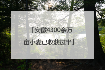 安徽4300余万亩小麦已收获过半