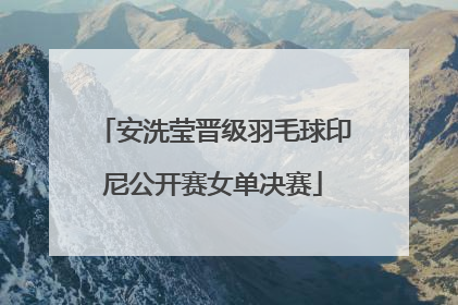 安洗莹晋级羽毛球印尼公开赛女单决赛
