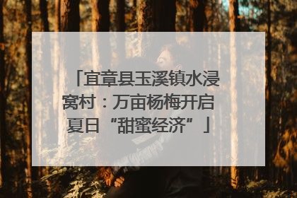 宜章县玉溪镇水浸窝村：万亩杨梅开启夏日“甜蜜经济”