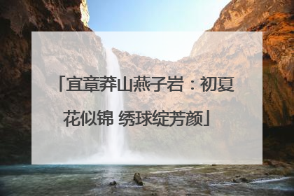 宜章莽山燕子岩：初夏花似锦 绣球绽芳颜