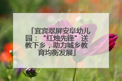 宜宾翠屏安阜幼儿园：“红烛先锋”送教下乡，助力城乡教育均衡发展