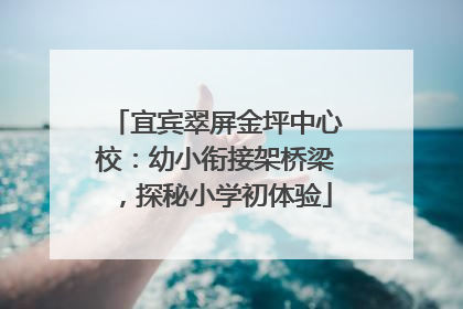 宜宾翠屏金坪中心校：幼小衔接架桥梁，探秘小学初体验