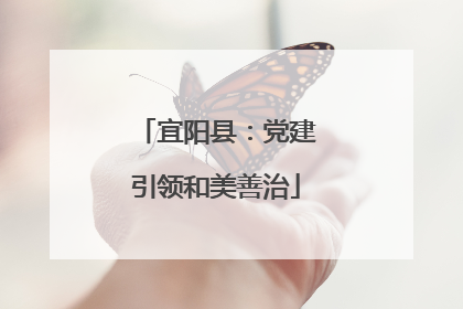 宜阳县：党建引领和美善治