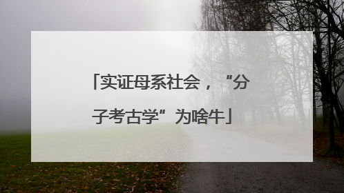实证母系社会，“分子考古学”为啥牛