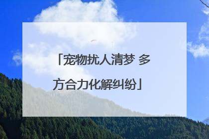 宠物扰人清梦 多方合力化解纠纷