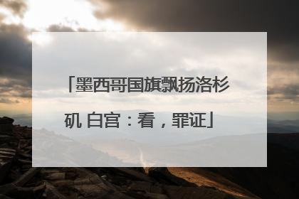 墨西哥国旗飘扬洛杉矶 白宫：看，罪证