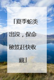 夏季蛇类出没，保命秘笈赶快收藏