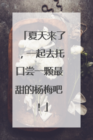 夏天来了，一起去托口尝一颗最甜的杨梅吧！