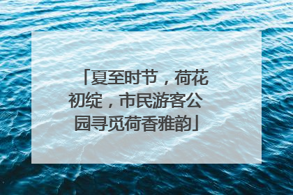夏至时节，荷花初绽，市民游客公园寻觅荷香雅韵