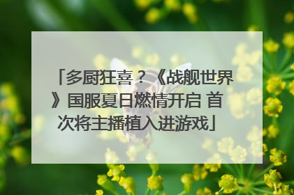 多厨狂喜？《战舰世界》国服夏日燃情开启 首次将主播植入进游戏