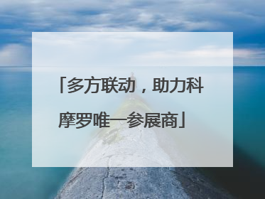 多方联动，助力科摩罗唯一参展商