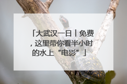 大武汉一日︱免费，这里带你看半小时的水上“电影”