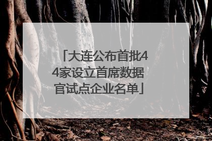 大连公布首批44家设立首席数据官试点企业名单