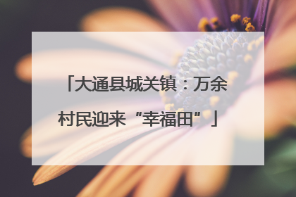 大通县城关镇：万余村民迎来“幸福田”