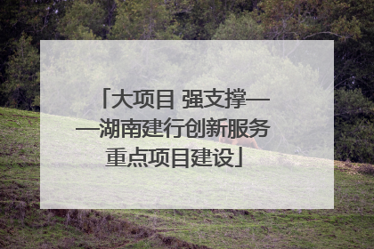 大项目 强支撑——湖南建行创新服务重点项目建设