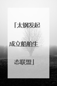 太钢发起成立船舶生态联盟