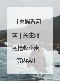 央媒看河南｜关注河南抢收小麦等内容