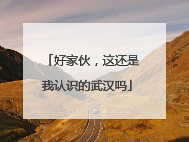 好家伙，这还是我认识的武汉吗