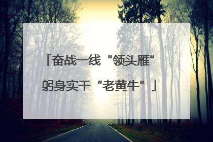 奋战一线“领头雁” 躬身实干“老黄牛”