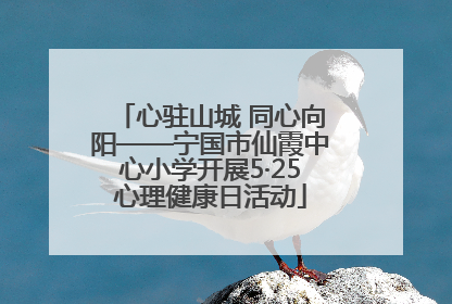 心驻山城 同心向阳——宁国市仙霞中心小学开展5·25心理健康日活动