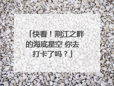 快看！荆江之畔的海底星空 你去打卡了吗？