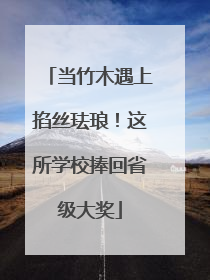 当竹木遇上掐丝珐琅！这所学校捧回省级大奖