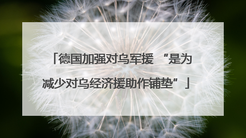 德国加强对乌军援 “是为减少对乌经济援助作铺垫”