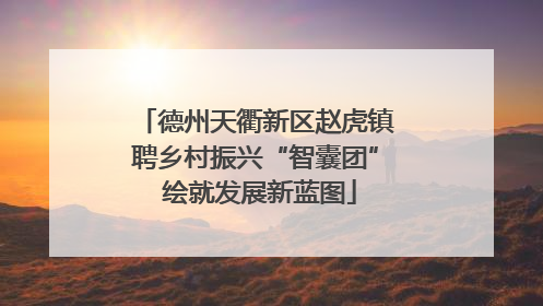 德州天衢新区赵虎镇聘乡村振兴“智囊团” 绘就发展新蓝图