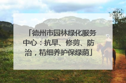 德州市园林绿化服务中心：抗旱、修剪、防治，精细养护保绿荫