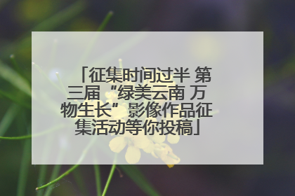 征集时间过半 第三届“绿美云南 万物生长”影像作品征集活动等你投稿