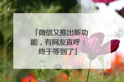 微信又推出新功能，有网友直呼：终于等到了