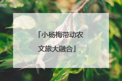 小杨梅带动农文旅大融合