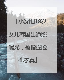 小沈阳18岁女儿韩国出道照曝光，被指撞脸孔孝真