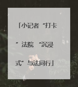 小记者“打卡”法院 “沉浸式”与法同行