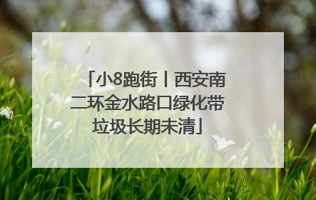 小8跑街丨西安南二环金水路口绿化带垃圾长期未清