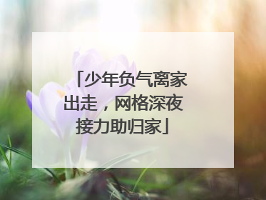 少年负气离家出走，网格深夜接力助归家