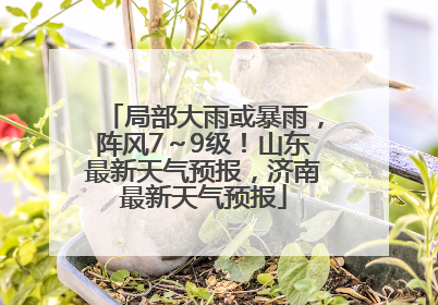 局部大雨或暴雨，阵风7～9级！山东最新天气预报，济南最新天气预报