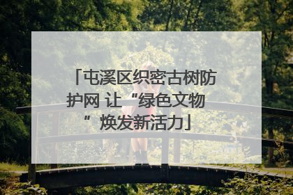 屯溪区织密古树防护网 让“绿色文物”焕发新活力