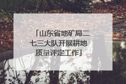 山东省地矿局二七三大队开展耕地质量评定工作