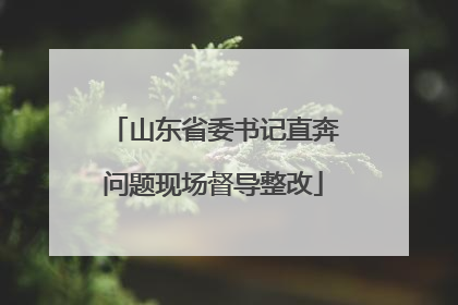 山东省委书记直奔问题现场督导整改