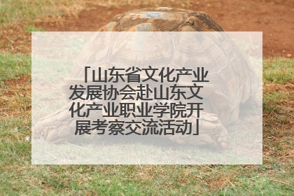 山东省文化产业发展协会赴山东文化产业职业学院开展考察交流活动