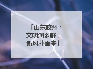 山东胶州：文明润乡野，新风扑面来