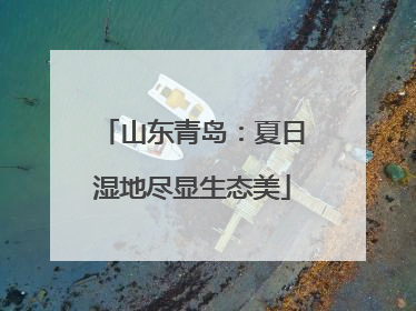 山东青岛：夏日湿地尽显生态美