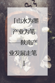 山水为墨 产业为笔——陕南产业发展走笔