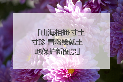 山海相拥·寸土寸珍 青岛绘就土地保护新图景