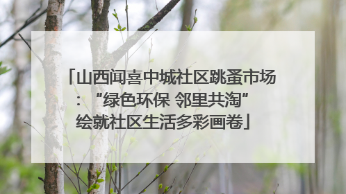 山西闻喜中城社区跳蚤市场：“绿色环保 邻里共淘” 绘就社区生活多彩画卷